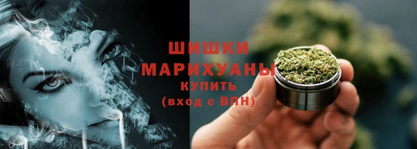 ПСИЛОЦИБИНОВЫЕ ГРИБЫ Алексеевка